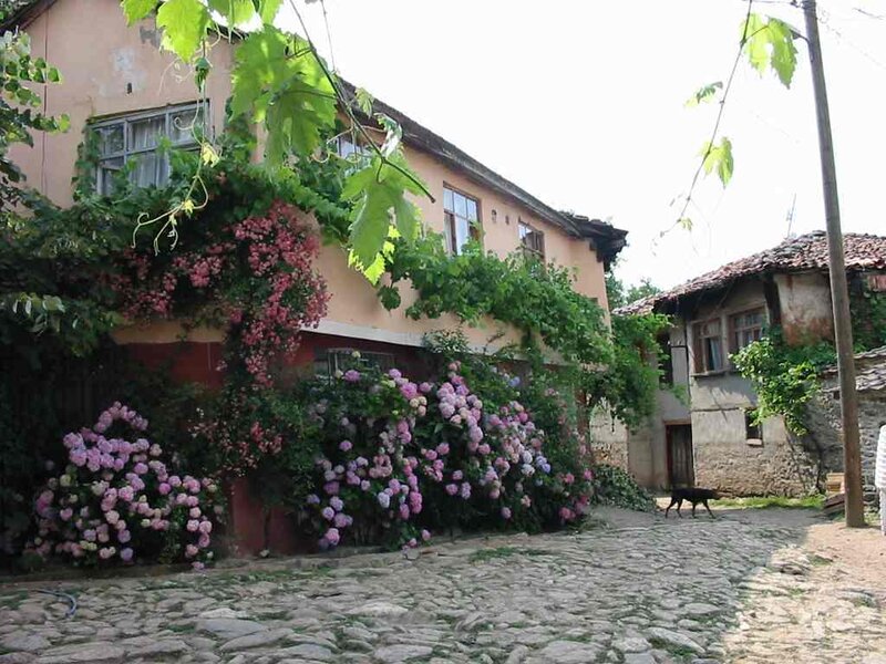 flower-covered house in village