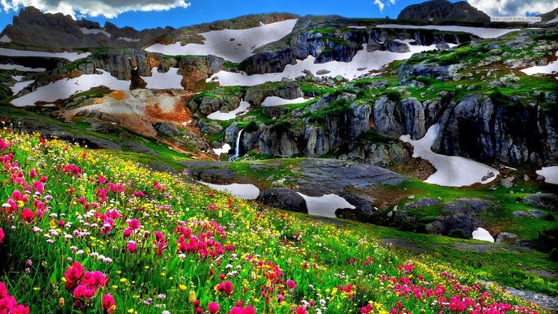 Flower-covered Mountain Slope — Green, Serene, Spring