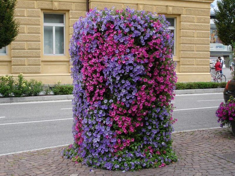 Flower-covered Pillar