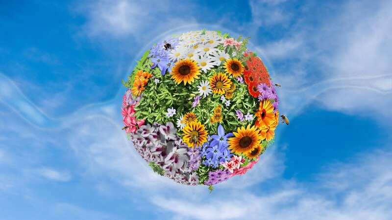 Flower-covered Sphere — Blue