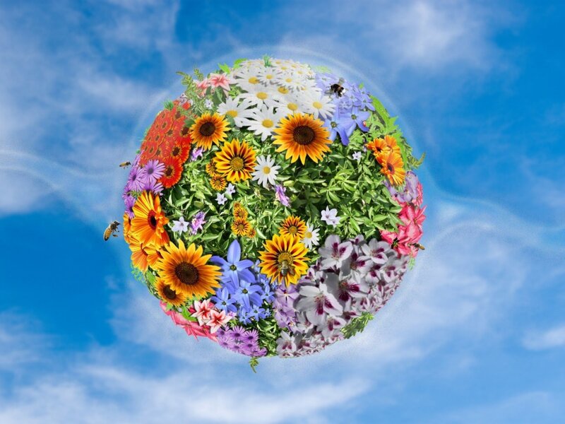 Flower-covered Sphere