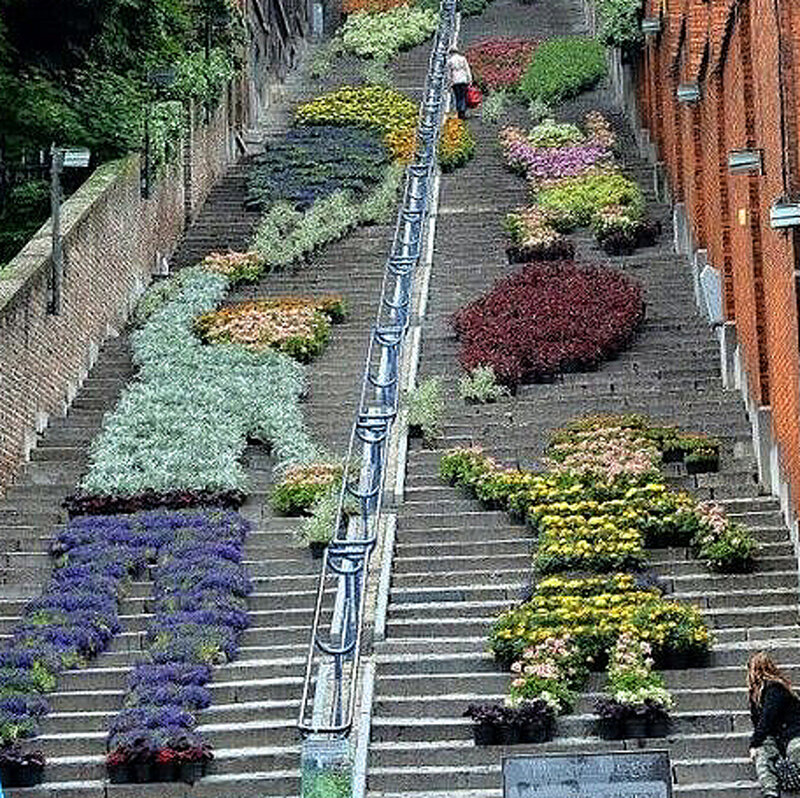 Flower-covered Stairs
