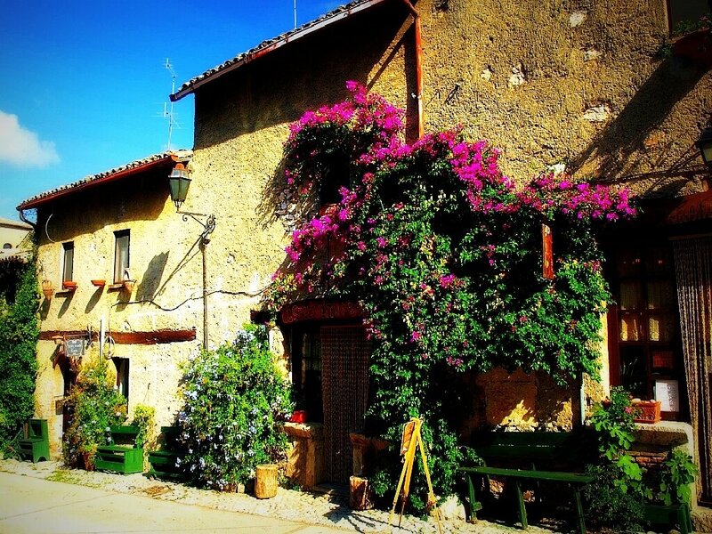 Flower-covered stone building