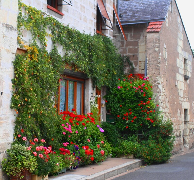Flower-covered stone house