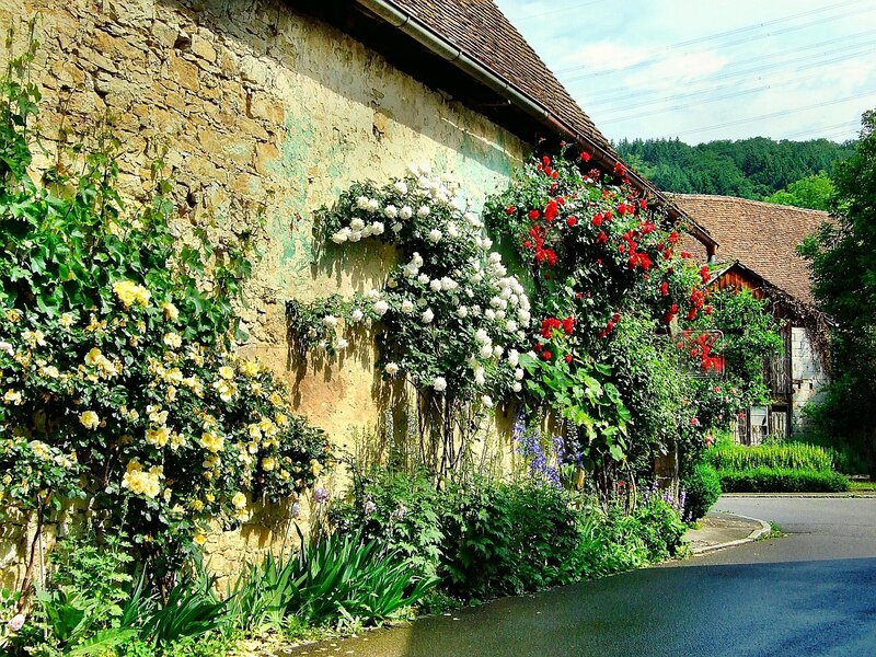 Flower-covered stone wall