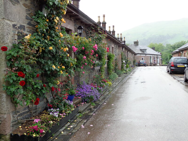 Flower-covered Village Street