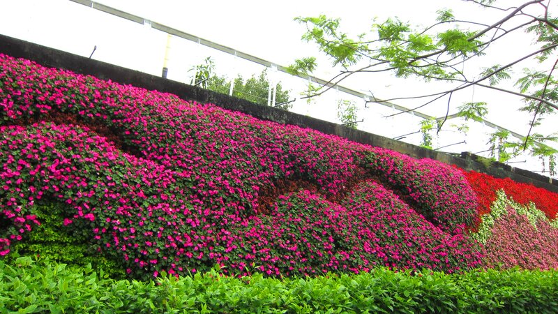 Flower-covered Wall