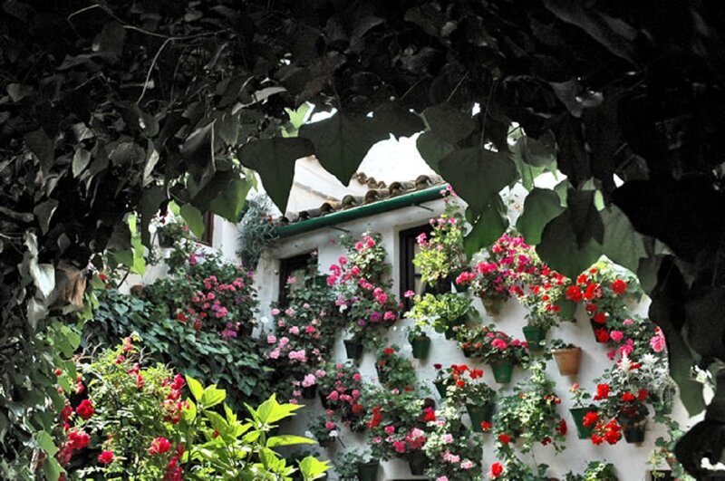 Flower-covered Wall — White