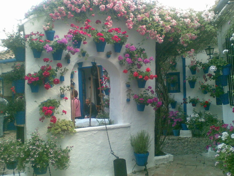Flower-covered White Wall