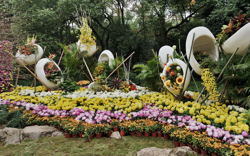 Flower Display in Garden — Yellow