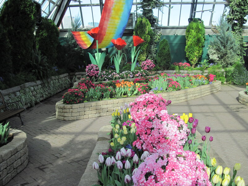 Flower Display in Greenhouse — Pink, Calm