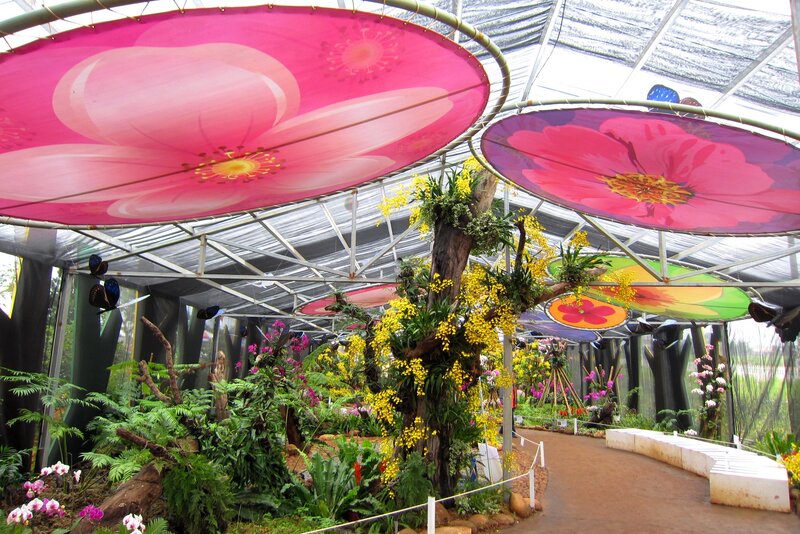 Flower Display in Greenhouse — Pink