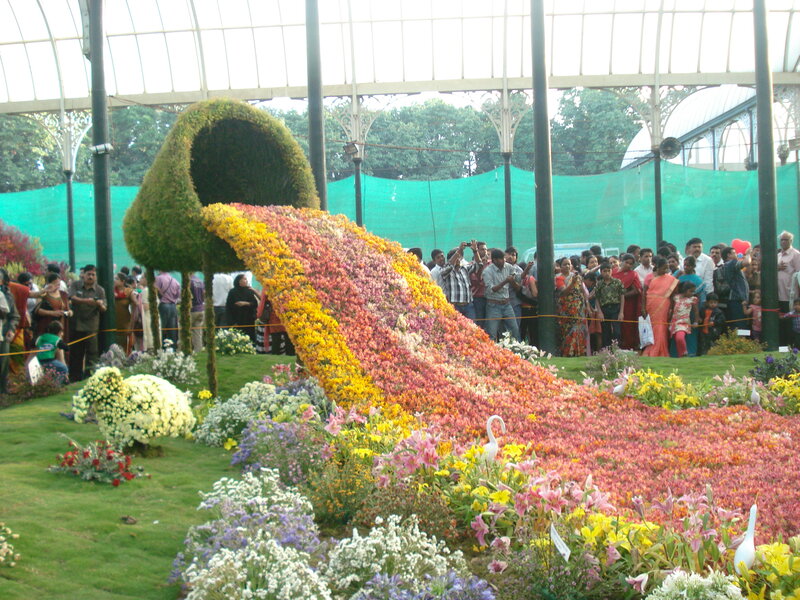 Flower Display in Greenhouse