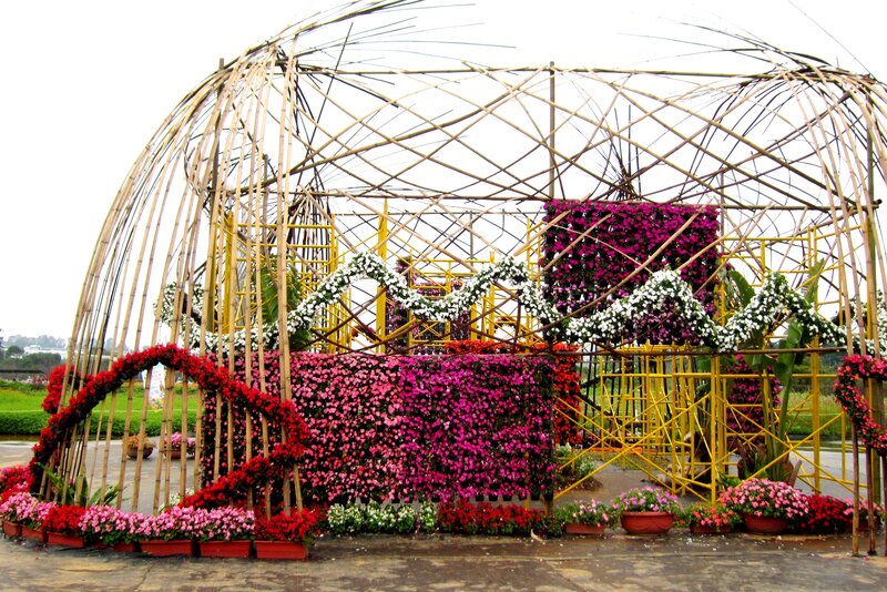 Flower Display Structure