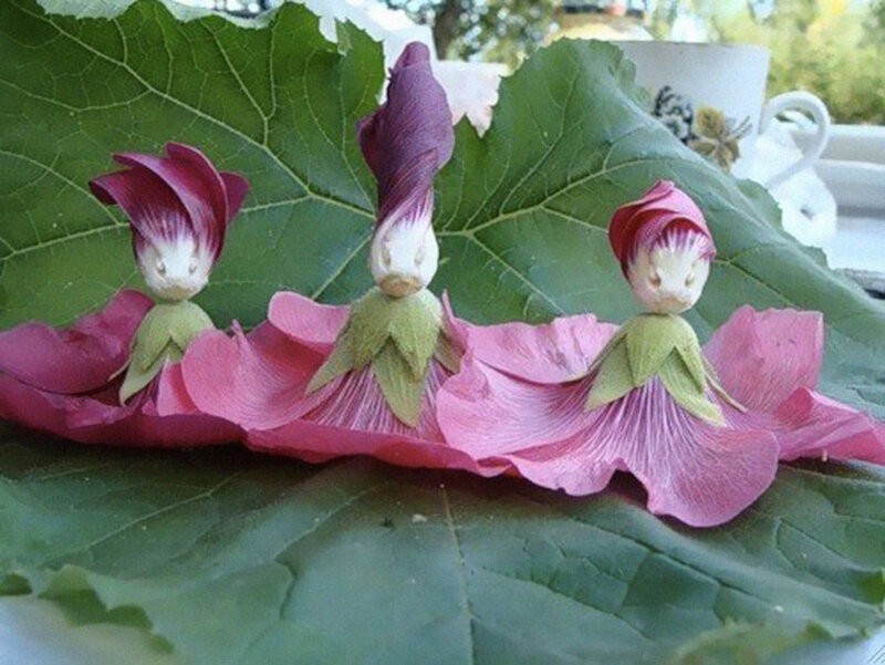 Flower Fairies on Leaf