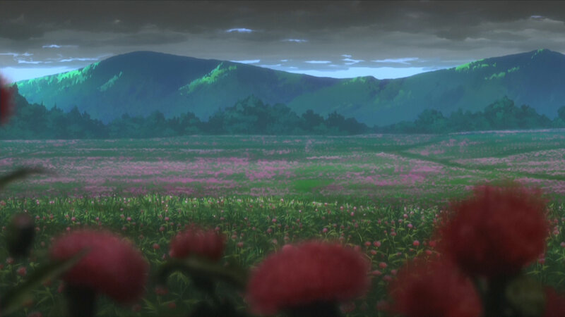 Flower field at dusk
