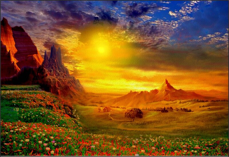 Flower Field at Sunset — Yellow