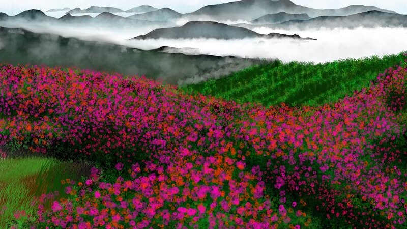 Flower Field in Mountains — Pink