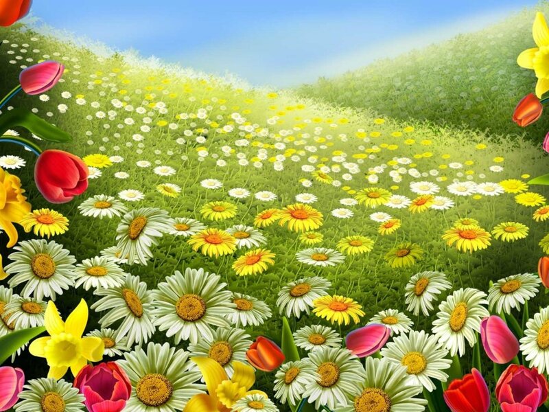 Flower Field Landscape — Green, Serene