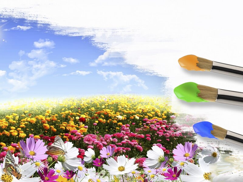 Flower Field with Butterfly