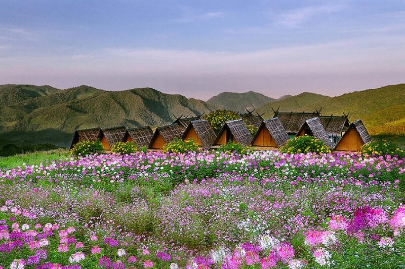 Flower Field with Huts