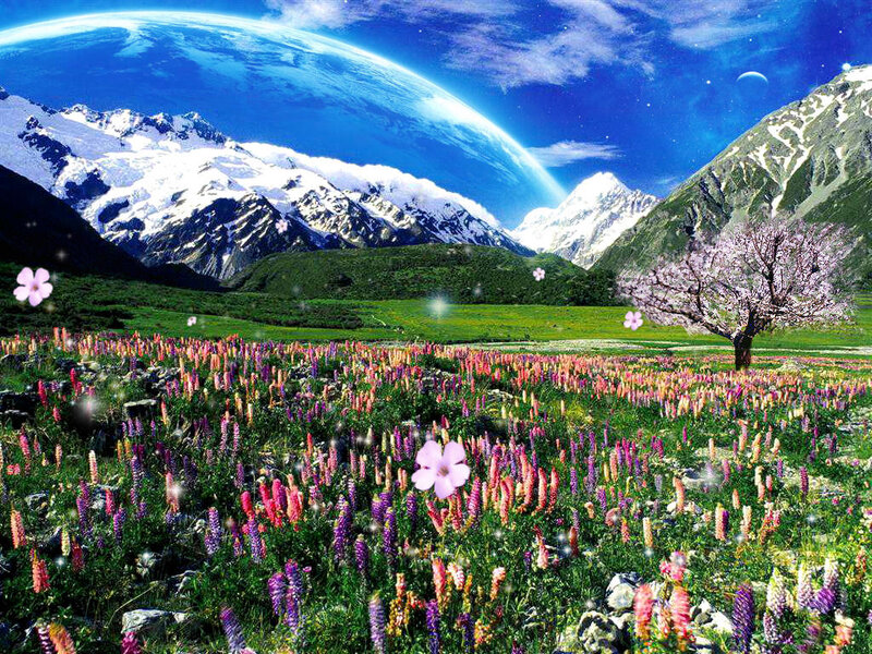 Flower Field with Mountains — Green, Serene