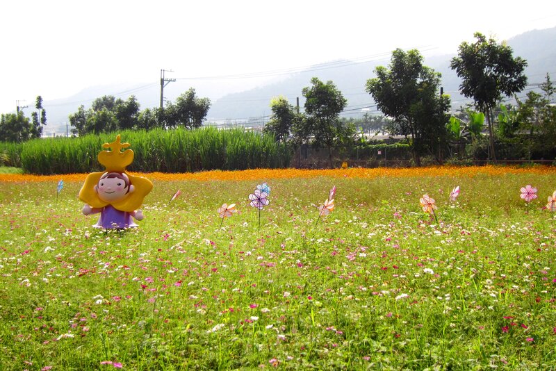 Flower Field with Statue