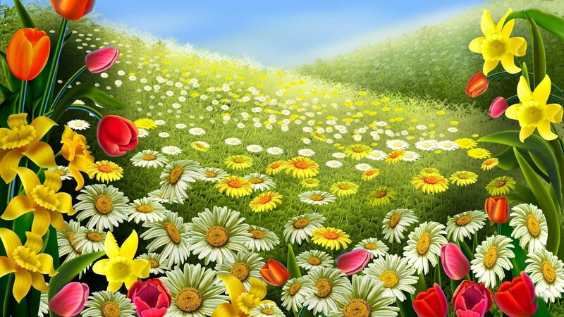Flower Field with Tulips