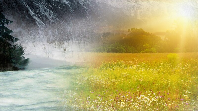 Flower Field with Waterfall