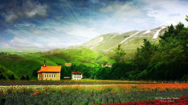 Flower Fields in Valley