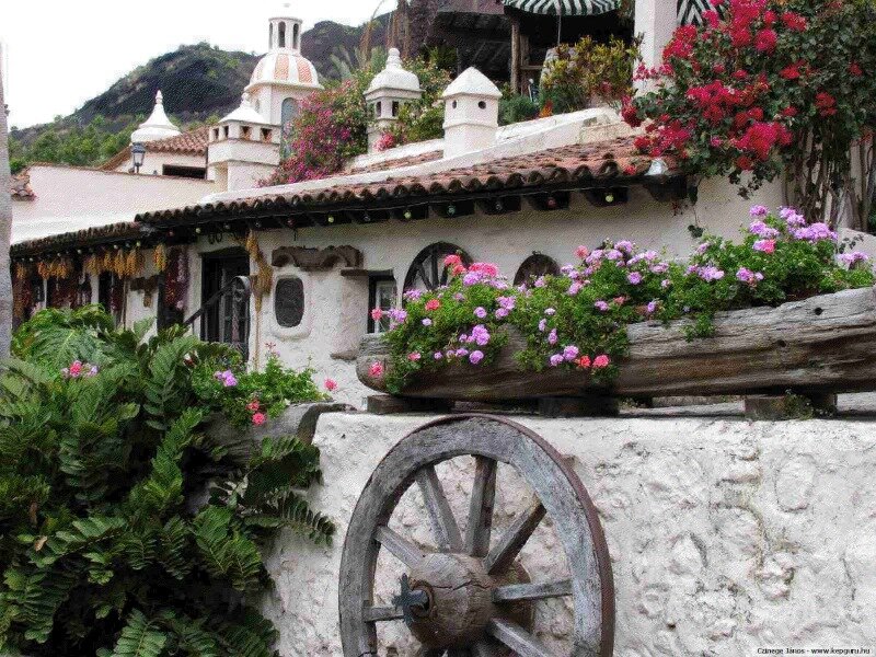 Flower-filled Adobe House
