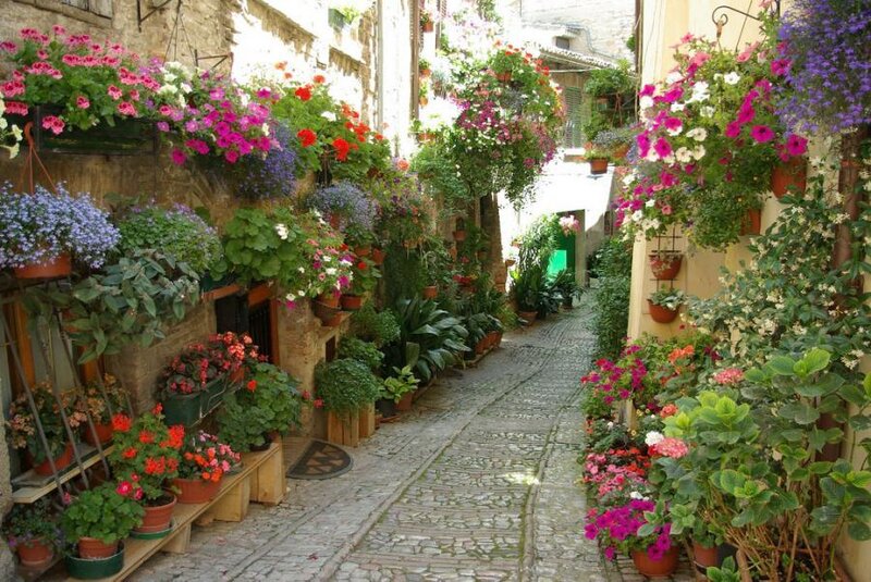 Flower-filled Alleyway — Green
