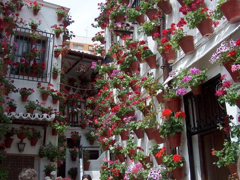 Flower-filled Alleyway — Red