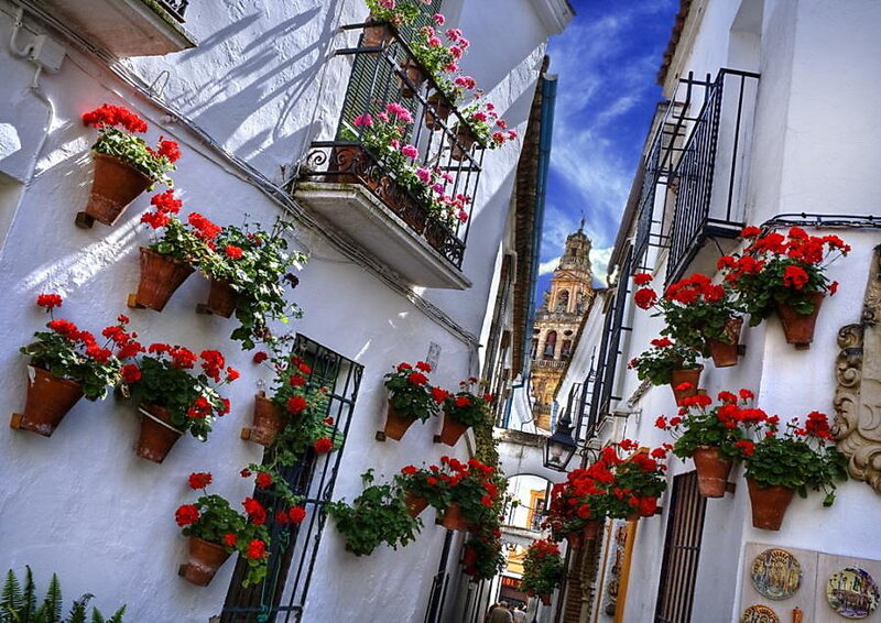 Flower-filled Alleyway