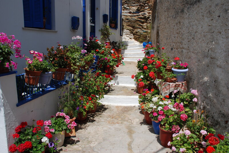 Flower-filled Alleyway — White, Serene