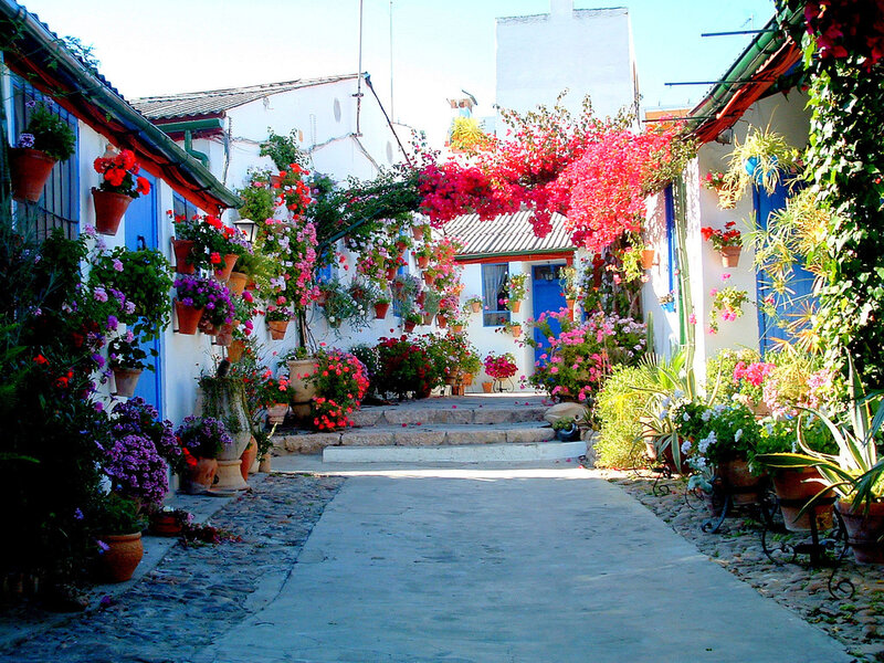 Flower-filled Alleyway — White