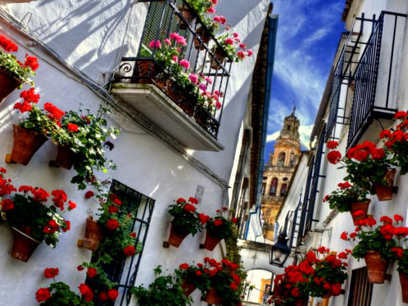 Flower-filled Alleyway — White, Vibrant