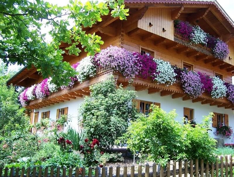 Flower-filled Alpine House