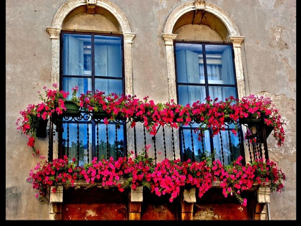 Flower-filled balcony in old building