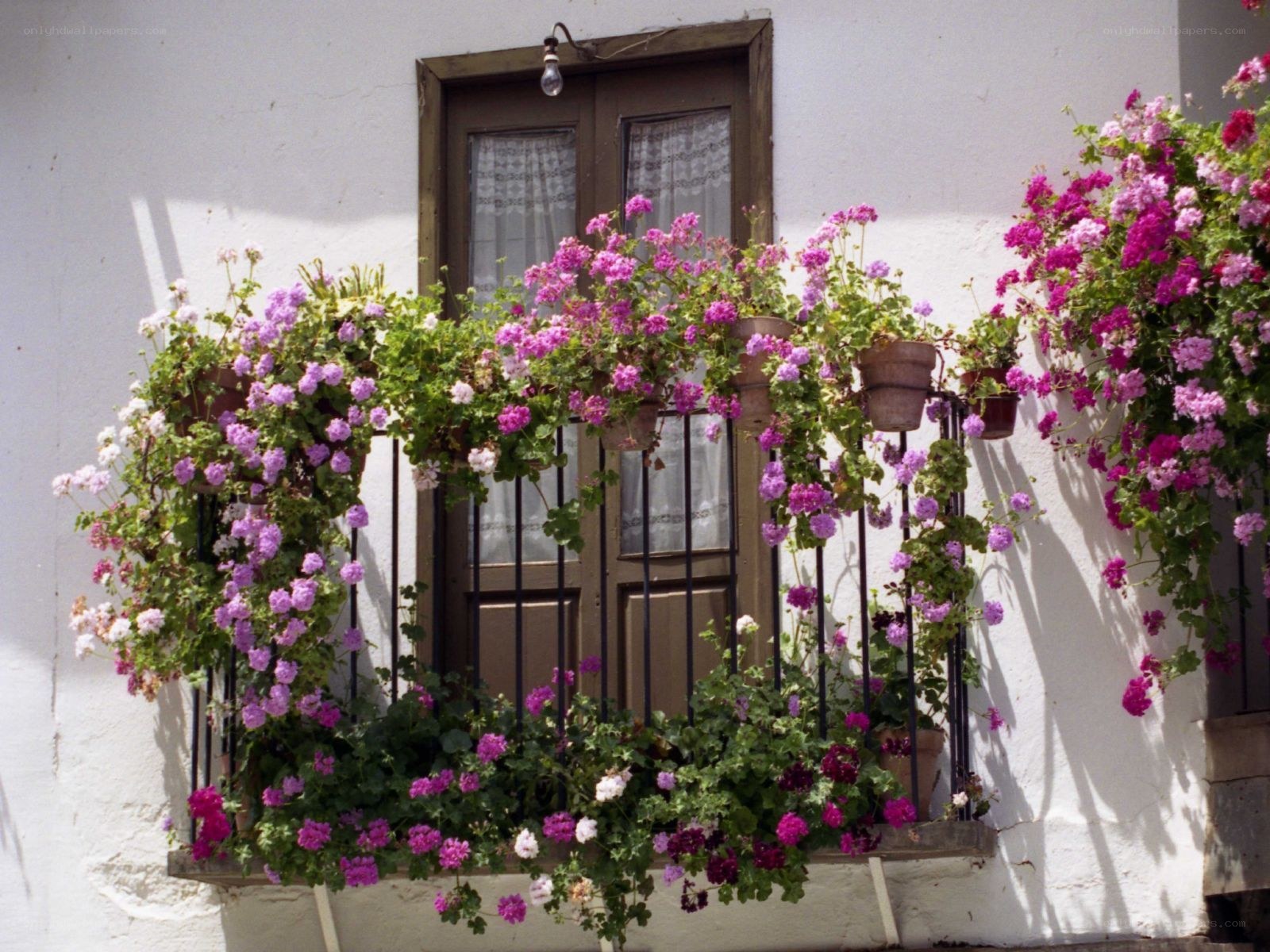 Flower-filled balcony in Spain