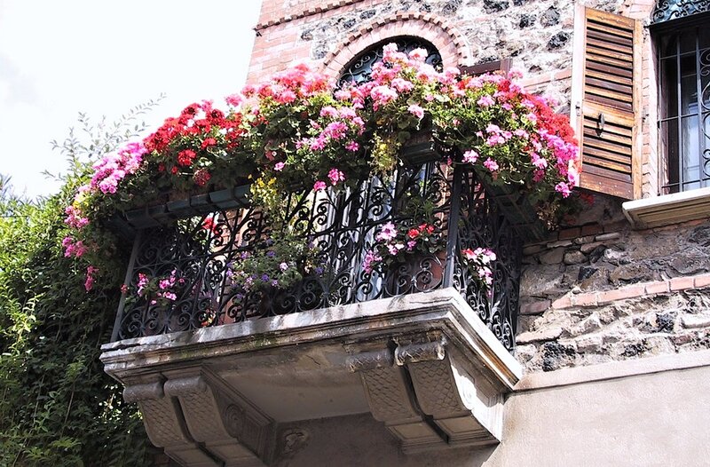 Flower-filled Balcony — Pink, Serene, Afternoon