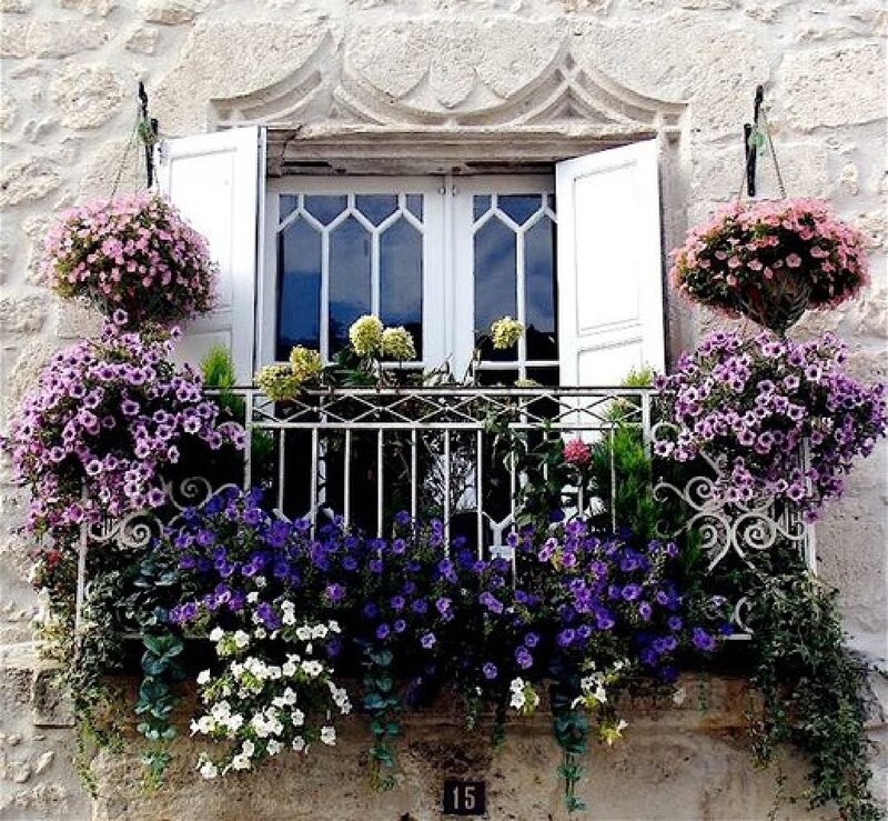 Flower-filled Balcony — Purple, Serene