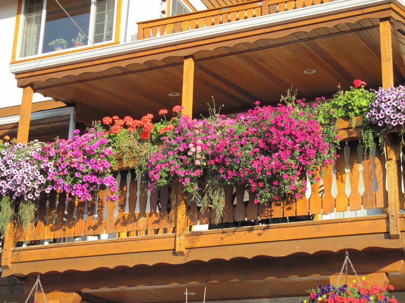 Flower-filled Balcony — Purple