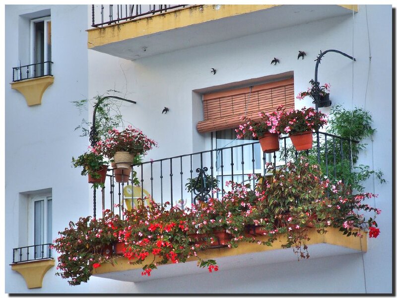 Flower-filled Balcony — White