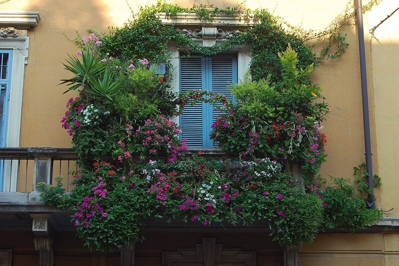 Flower-filled Balcony — Yellow, Serene