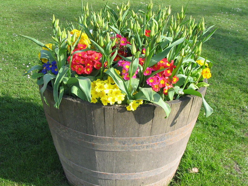 Flower-filled Barrel