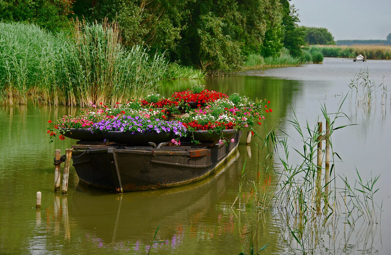 Flower-filled Boat — Green