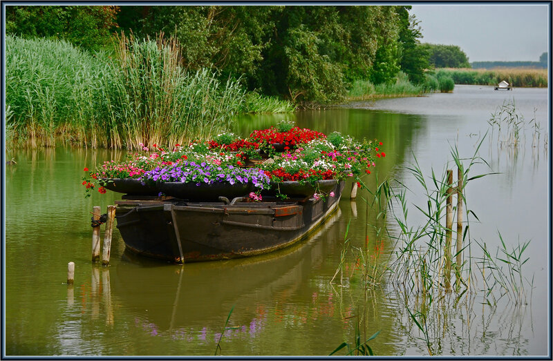 Flower-filled boat on a canal