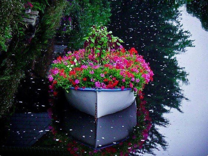 Flower-filled Boat — Pink