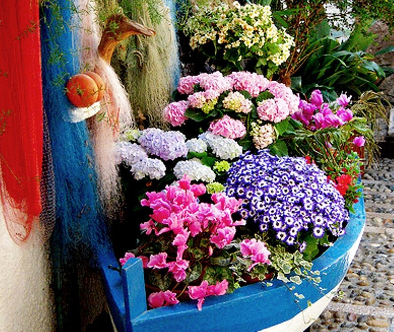 Flower-filled Boat Planter